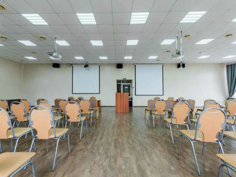 gallery-mice-conf-3